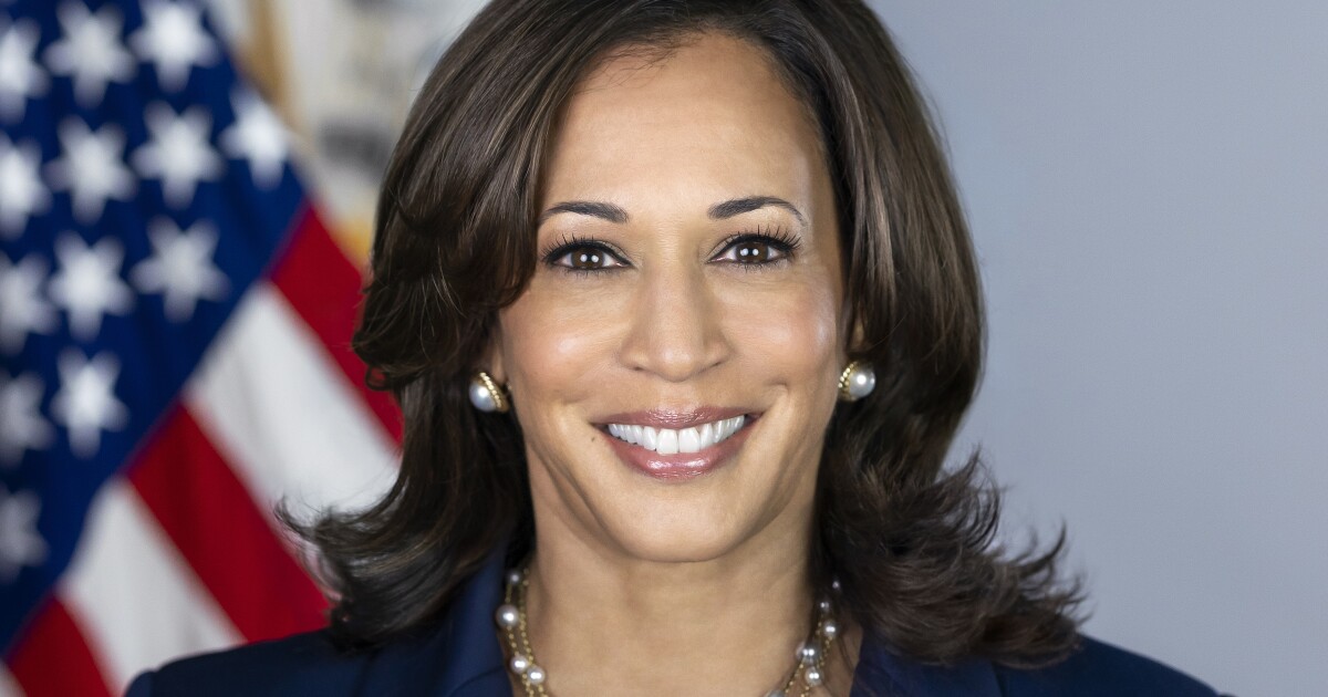 The Intellectualist Forecasts Kamala Harris to Win the 2024 Presidential Election